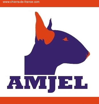 Amjel